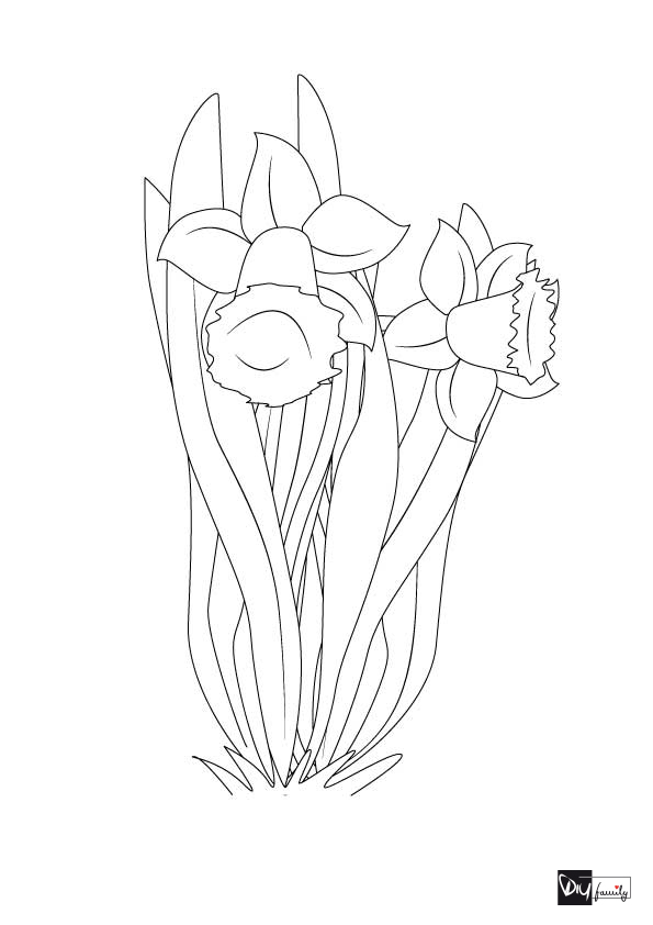 malvorlage tulpe einfach  zeichnen und färben
