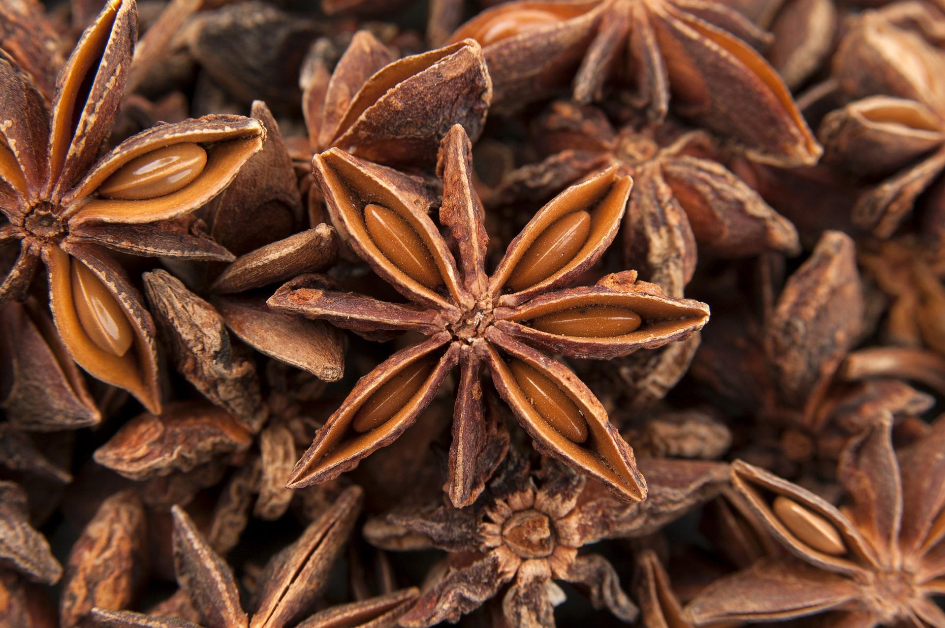 Anis Die 6 leckersten Rezepte mit Anis DIYFamily