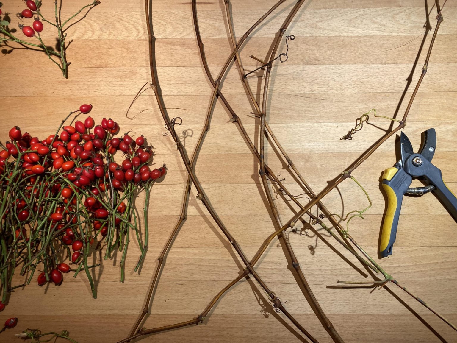 Herbstliche Dekoration mit Hagebutten - DIY-Family