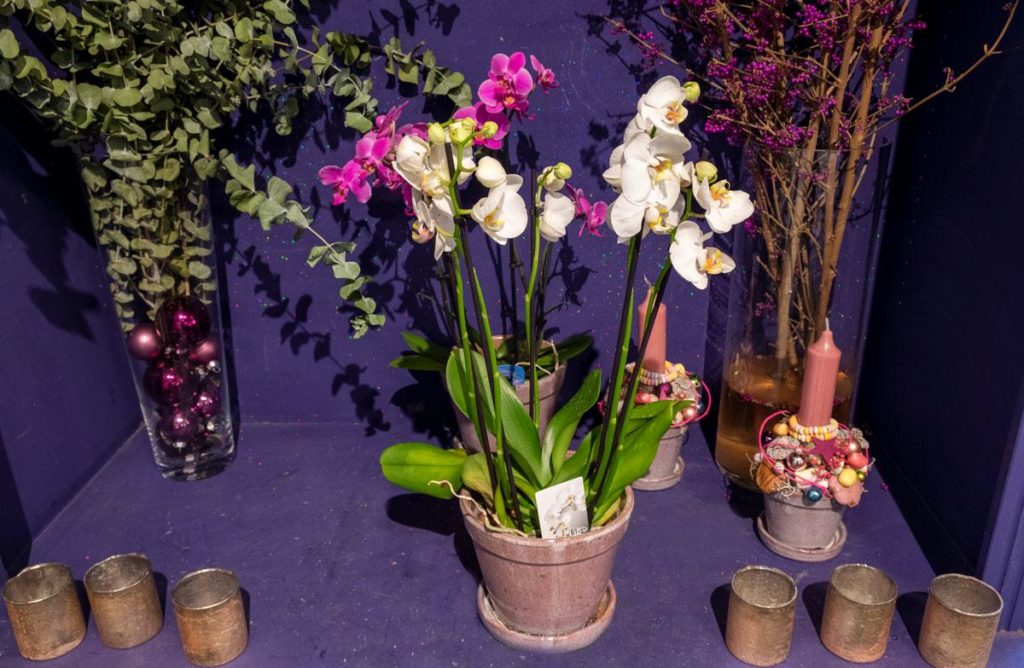 stylischer Adventskranz