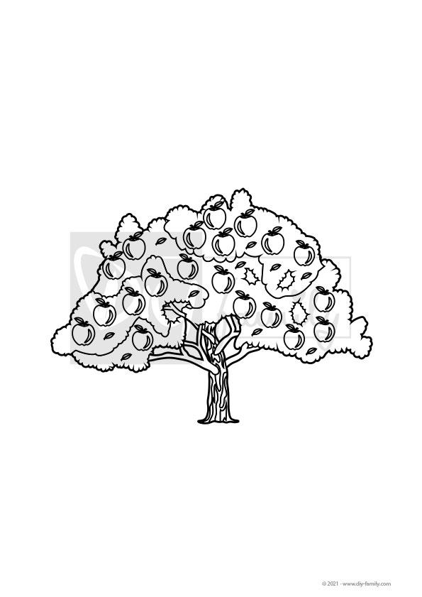 Apfelbaum – Einzelausmalvorlage