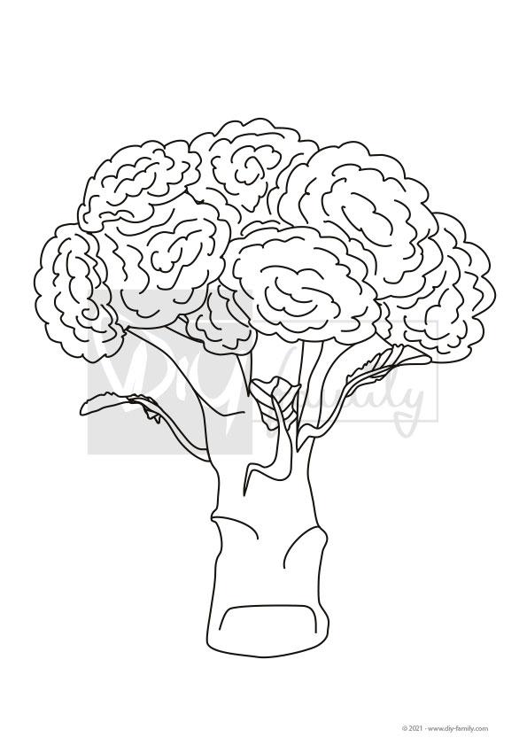 Broccoli – Einzelausmalvorlage