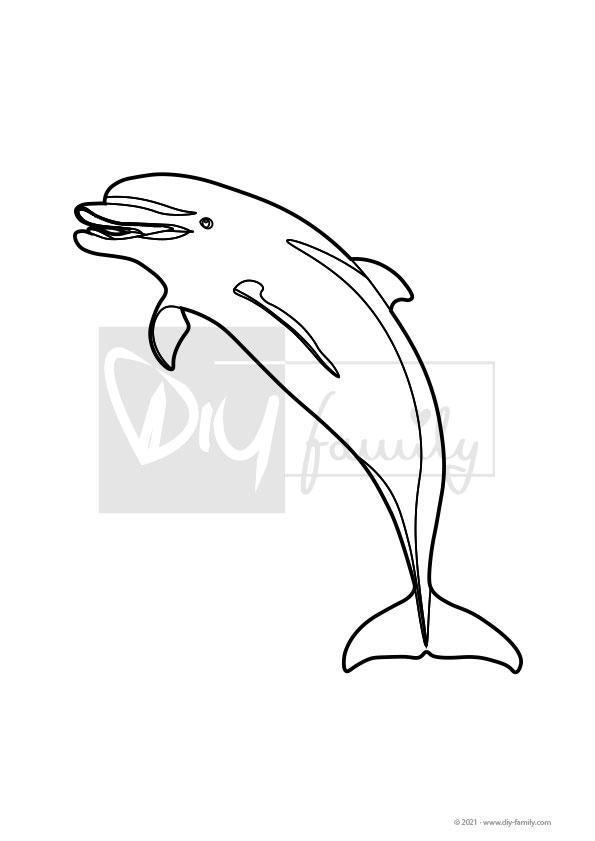 Delfin – Einzelausmalvorlage