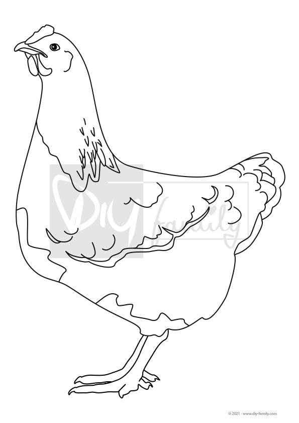 Huhn – Einzelausmalvorlage