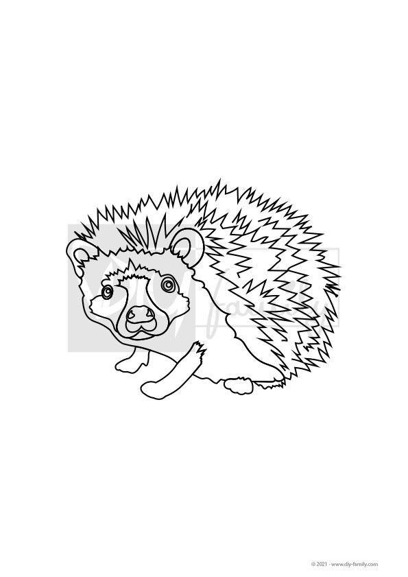 Igel – Einzelausmalvorlage
