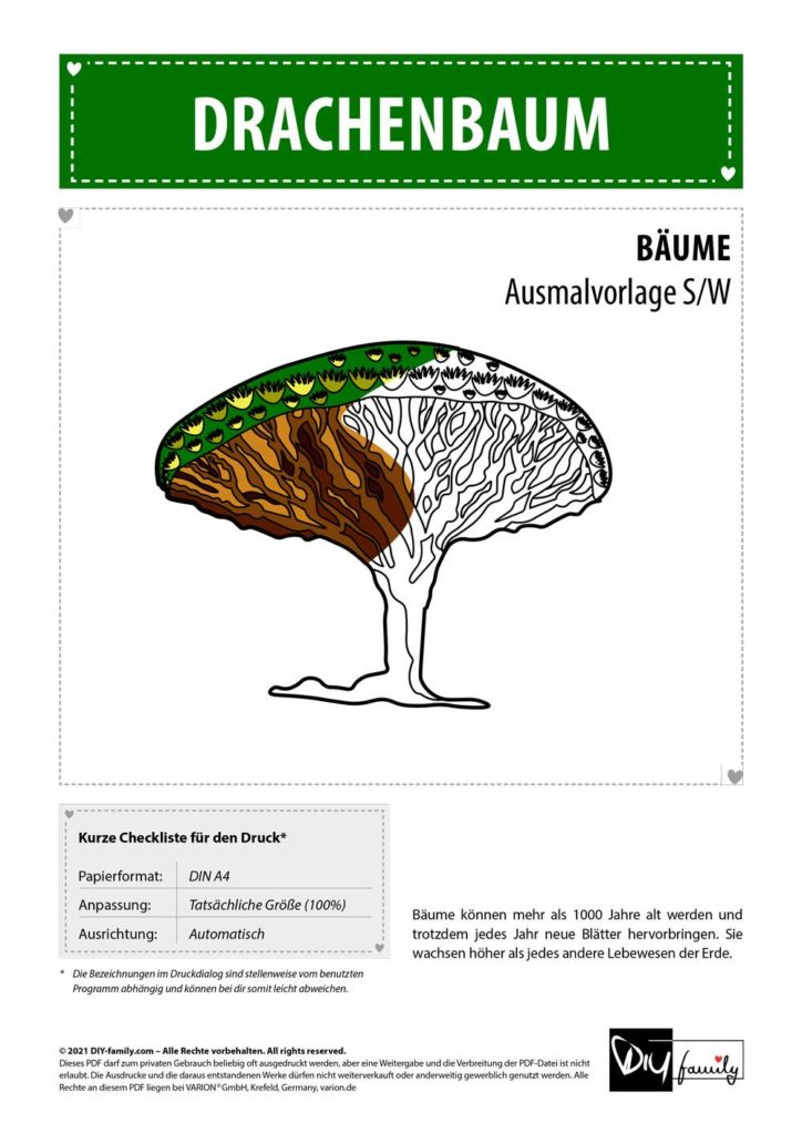 Drachenbaum – Einzelausmalvorlage