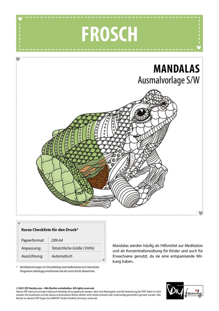 Frosch Mandala – Einzelausmalvorlage