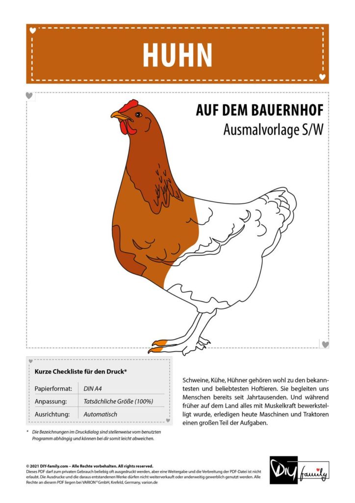 Huhn – Einzelausmalvorlage