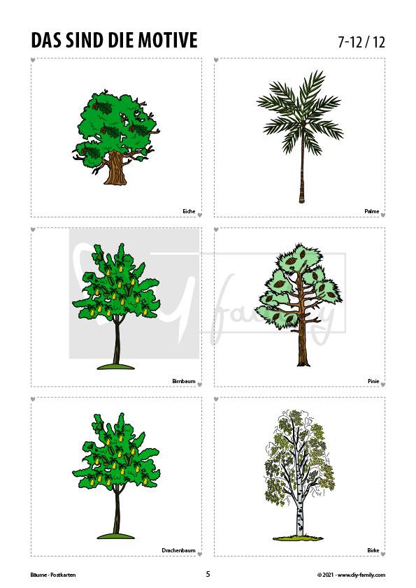 Bäume – Postkarten zum Ausschneiden und Ausmalen