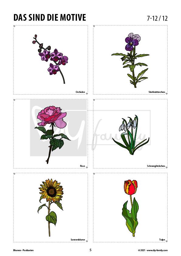 Blumen – Postkarten zum Ausschneiden und Ausmalen