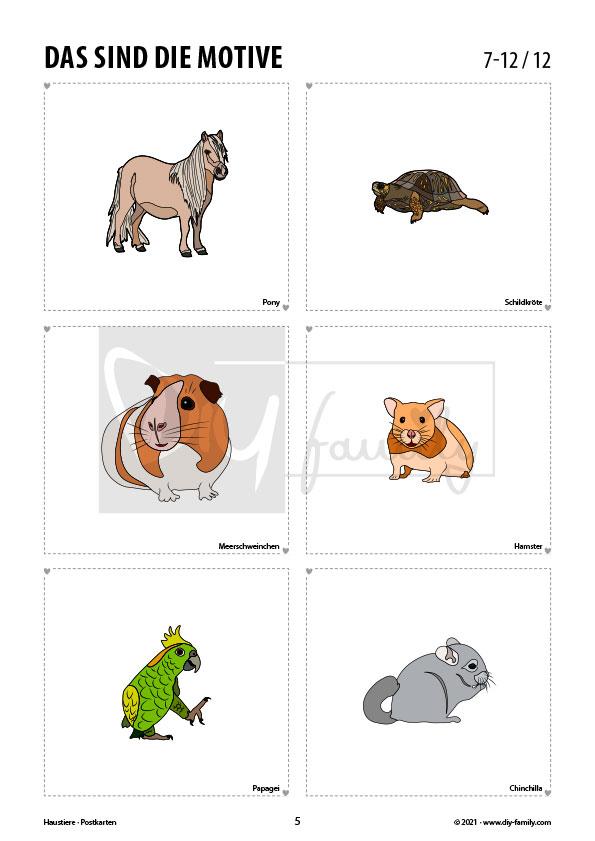 Haustiere – Postkarten zum Ausschneiden und Ausmalen
