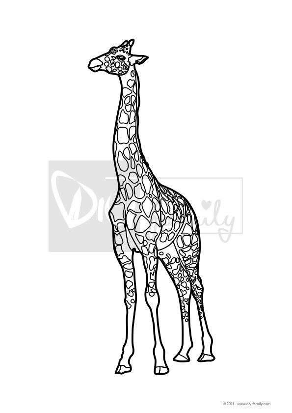 Giraffe – Einzelausmalvorlage