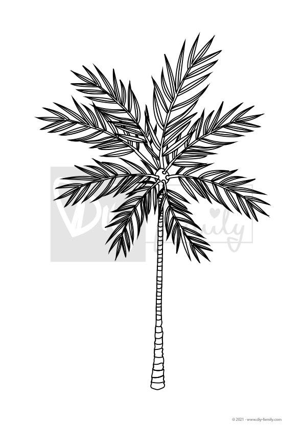 Palme – Einzelausmalvorlage
