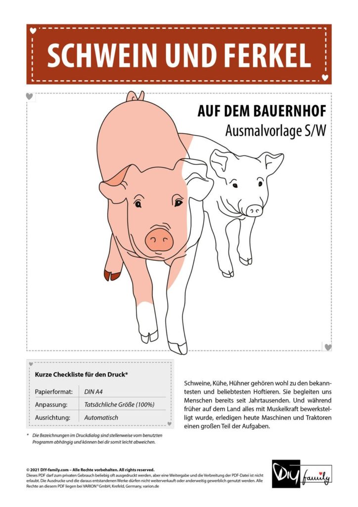 Schweine – Einzelausmalvorlage