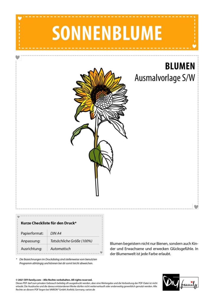 Sonnenblume – Einzelausmalvorlage