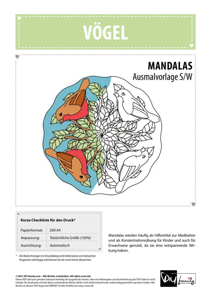 Vögel Mandala – Einzelausmalvorlage