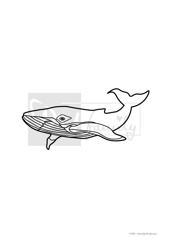 Wal – Einzelausmalvorlage