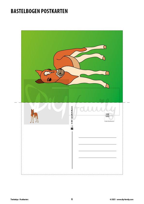 Tierbabys – Postkarten zum Ausschneiden
