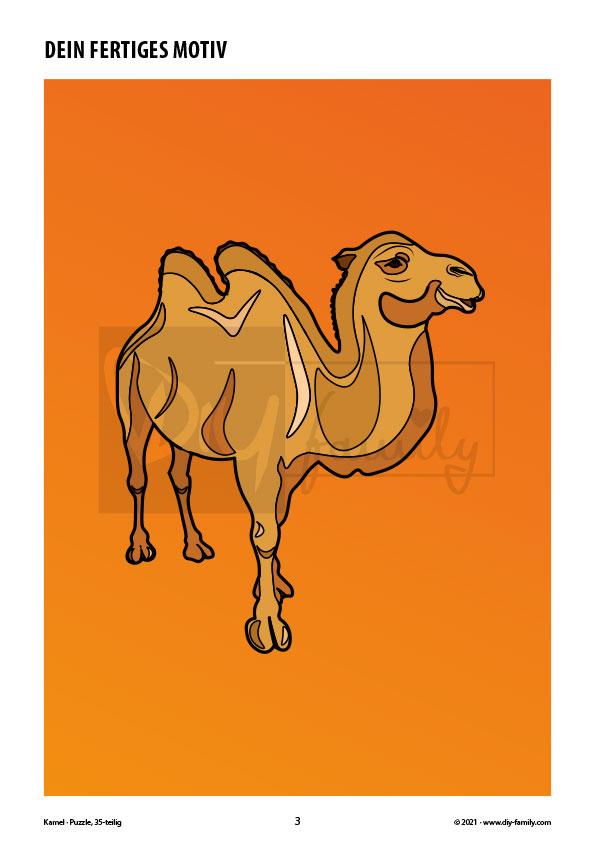 Kamel – Puzzle