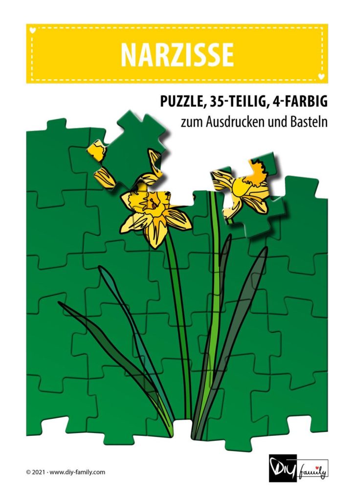 Narzisse – Puzzle