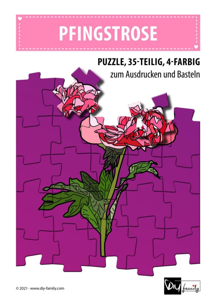 Pfingstrose – Puzzle