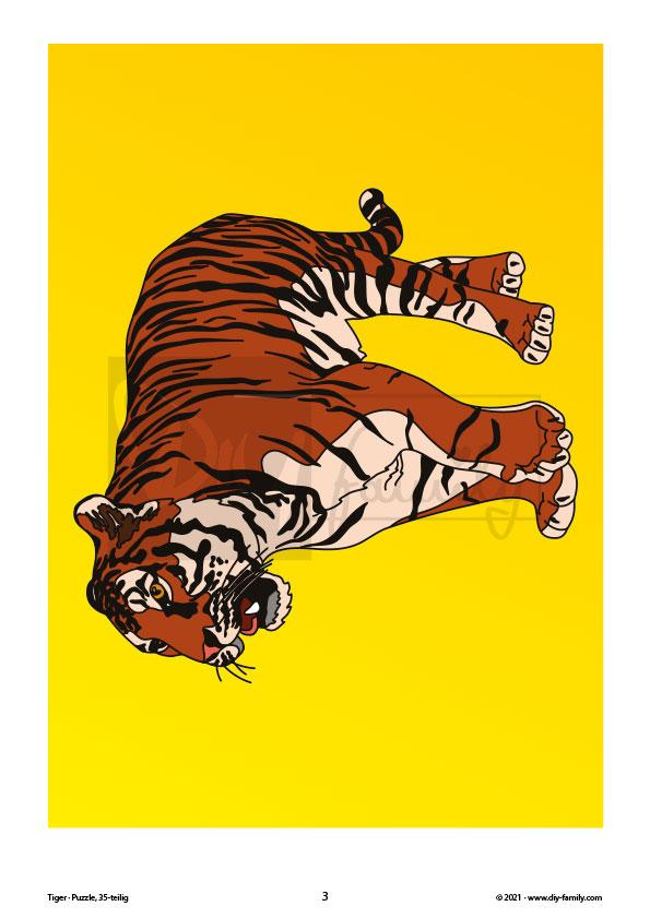 Tiger – Puzzle