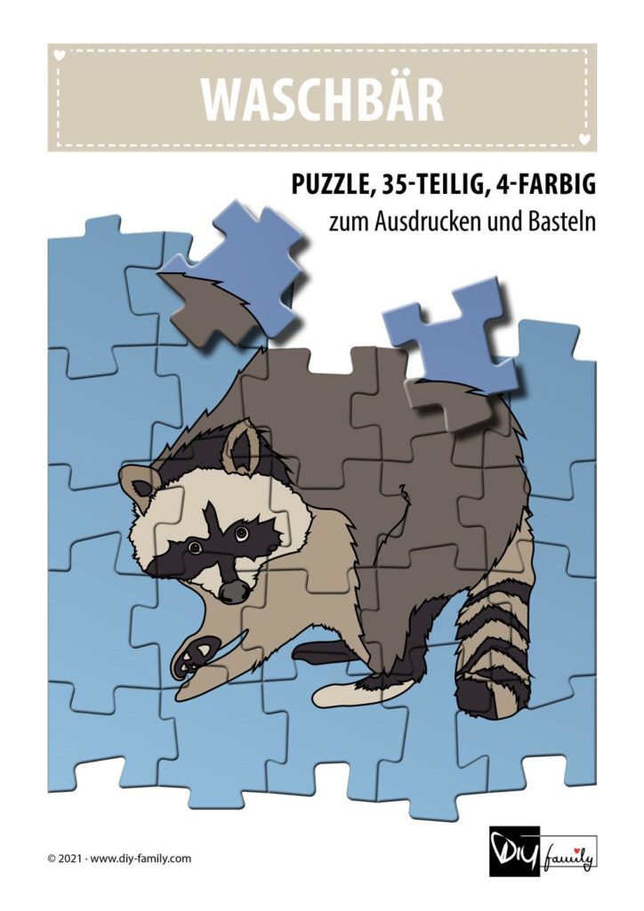 Waschbaer – Puzzle