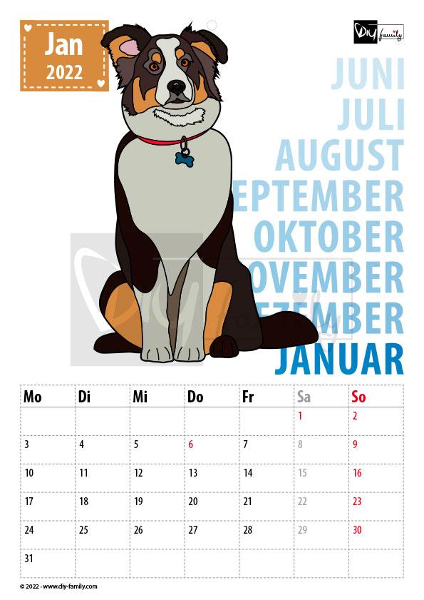 Haustiere – Kalender 2022